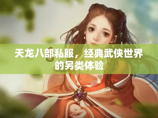 天龙八部私服，经典武侠世界的另类体验
