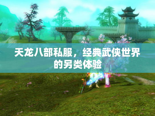 天龙八部私服，经典武侠世界的另类体验