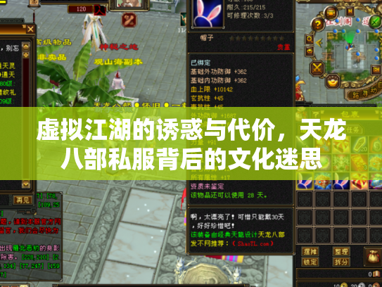 虚拟江湖的诱惑与代价，天龙八部私服背后的文化迷思