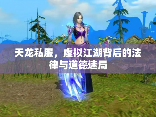 天龙私服，虚拟江湖背后的法律与道德迷局