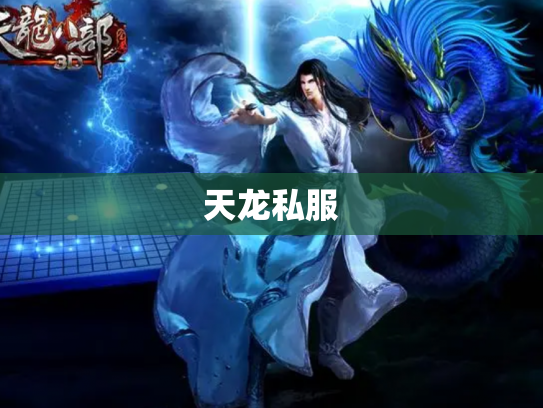 天龙私服