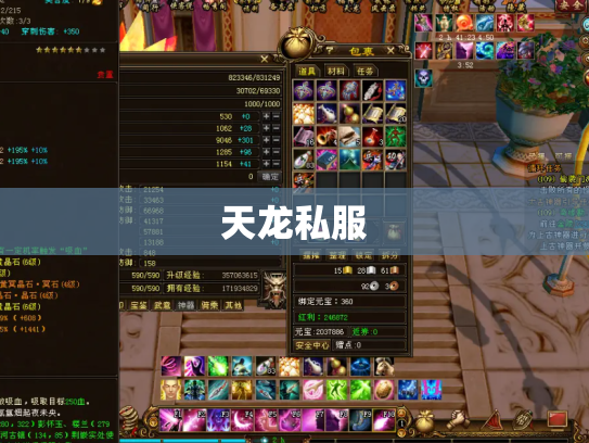 天龙私服