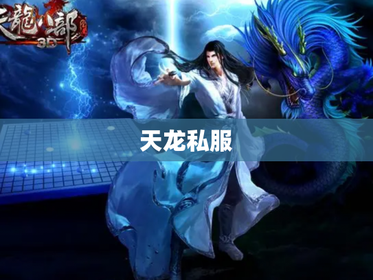 天龙私服