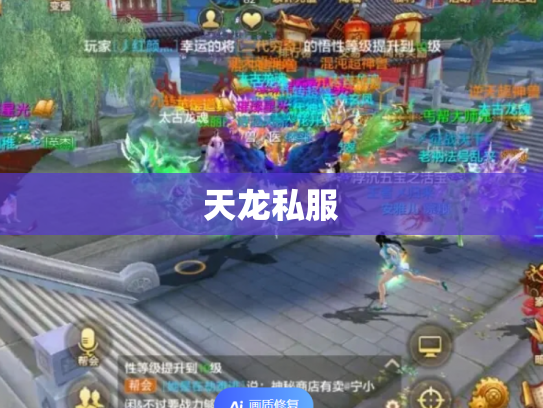 天龙私服