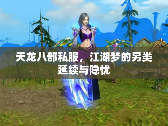 天龙八部私服，江湖梦的另类延续与隐忧