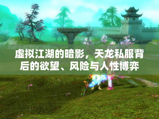 虚拟江湖的暗影，天龙私服背后的欲望、风险与人性博弈