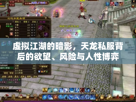 虚拟江湖的暗影，天龙私服背后的欲望、风险与人性博弈