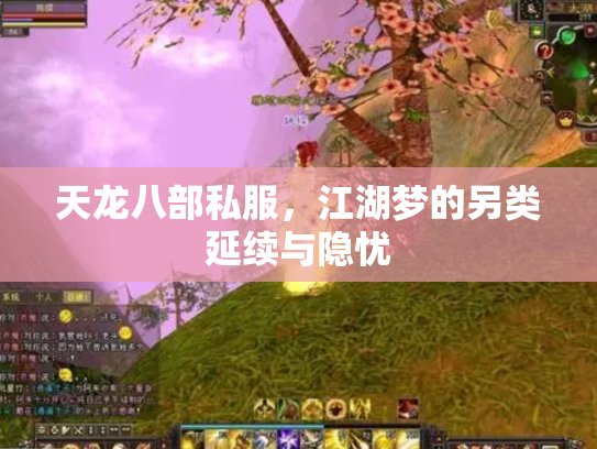 天龙八部私服，江湖梦的另类延续与隐忧