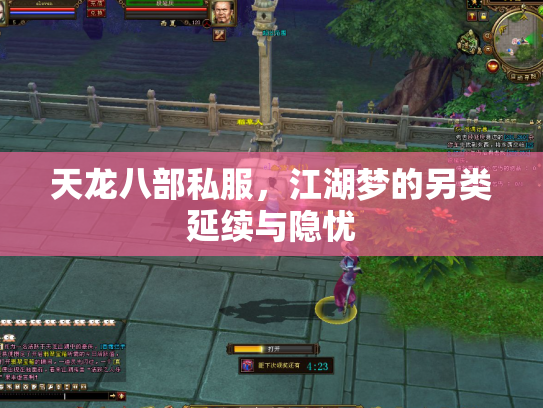 天龙八部私服，江湖梦的另类延续与隐忧