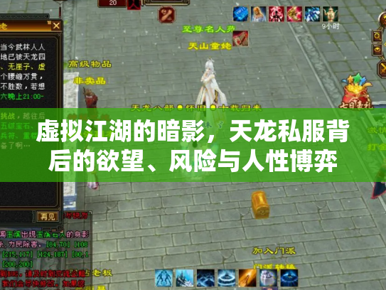 虚拟江湖的暗影，天龙私服背后的欲望、风险与人性博弈