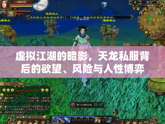 虚拟江湖的暗影，天龙私服背后的欲望、风险与人性博弈