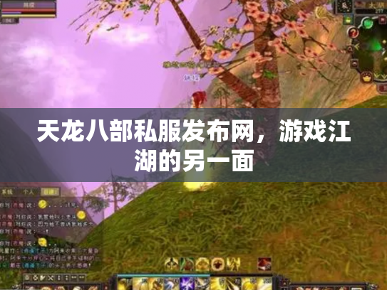 天龙八部私服发布网，游戏江湖的另一面