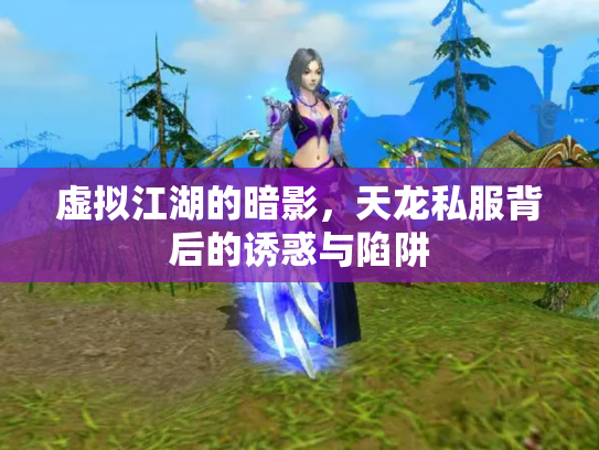 虚拟江湖的暗影，天龙私服背后的诱惑与陷阱