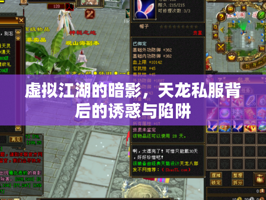 虚拟江湖的暗影，天龙私服背后的诱惑与陷阱
