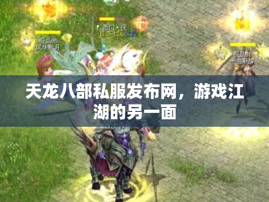 天龙八部私服发布网，游戏江湖的另一面