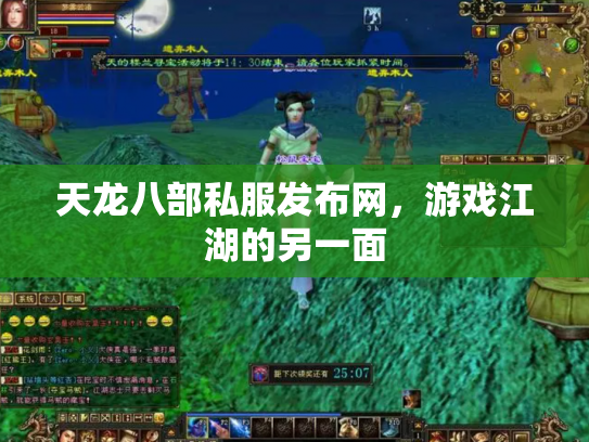 天龙八部私服发布网，游戏江湖的另一面