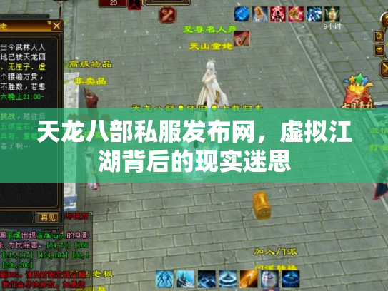 天龙八部私服发布网，虚拟江湖背后的现实迷思