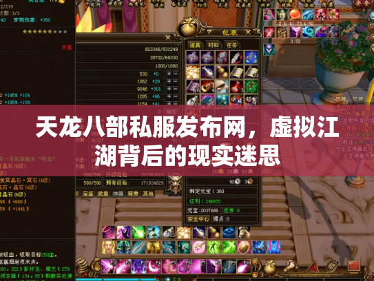 天龙八部私服发布网，虚拟江湖背后的现实迷思