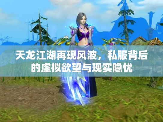 天龙江湖再现风波，私服背后的虚拟欲望与现实隐忧