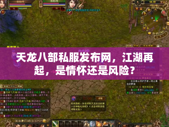 天龙八部私服发布网，江湖再起，是情怀还是风险？