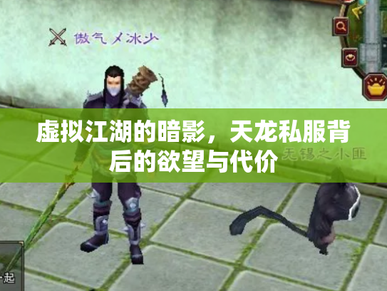 虚拟江湖的暗影，天龙私服背后的欲望与代价