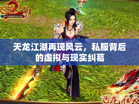 天龙江湖再现风云，私服背后的虚拟与现实纠葛