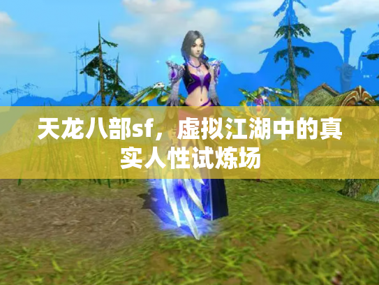 天龙八部sf，虚拟江湖中的真实人性试炼场