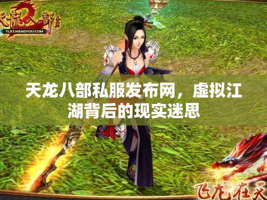 天龙八部私服发布网，虚拟江湖背后的现实迷思