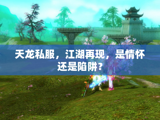 天龙私服，江湖再现，是情怀还是陷阱？