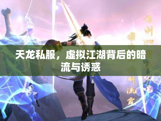 天龙私服，虚拟江湖背后的暗流与诱惑