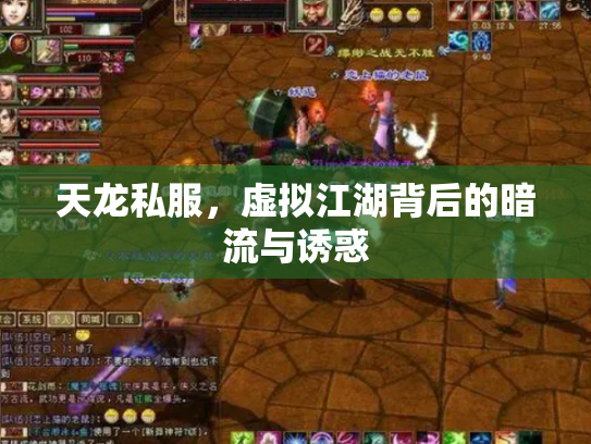 天龙私服，虚拟江湖背后的暗流与诱惑