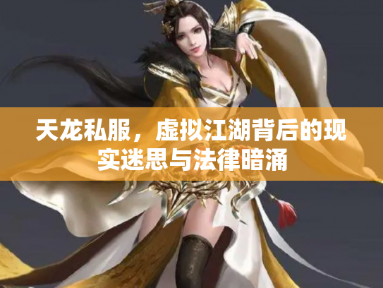 天龙私服，虚拟江湖背后的现实迷思与法律暗涌