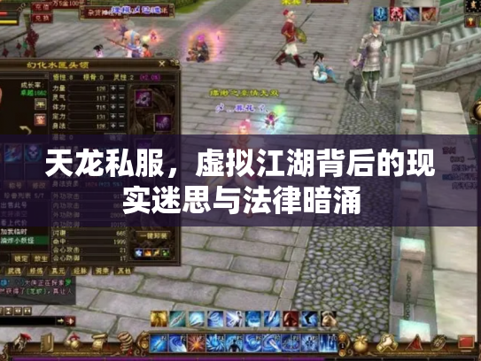 天龙私服，虚拟江湖背后的现实迷思与法律暗涌