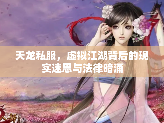 天龙私服，虚拟江湖背后的现实迷思与法律暗涌