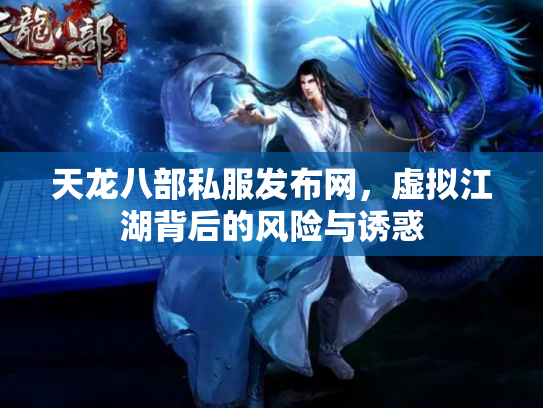 天龙八部私服发布网，虚拟江湖背后的风险与诱惑
