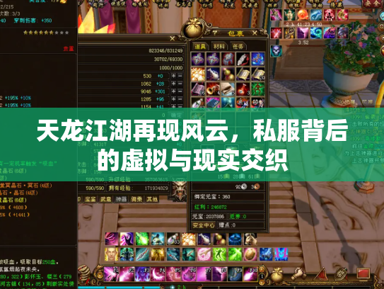 天龙江湖再现风云，私服背后的虚拟与现实交织