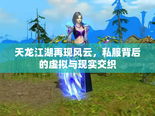 天龙江湖再现风云，私服背后的虚拟与现实交织