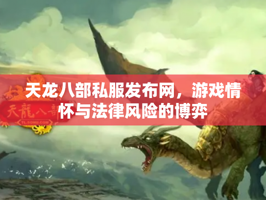 天龙八部私服发布网，游戏情怀与法律风险的博弈