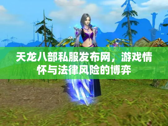 天龙八部私服发布网，游戏情怀与法律风险的博弈