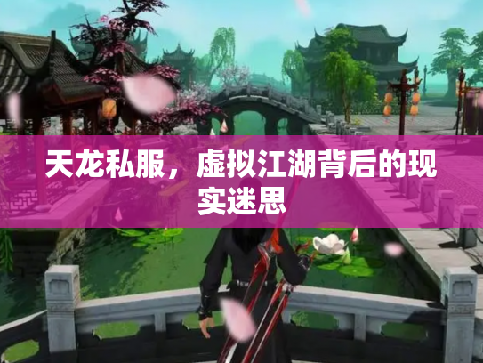 天龙私服，虚拟江湖背后的现实迷思