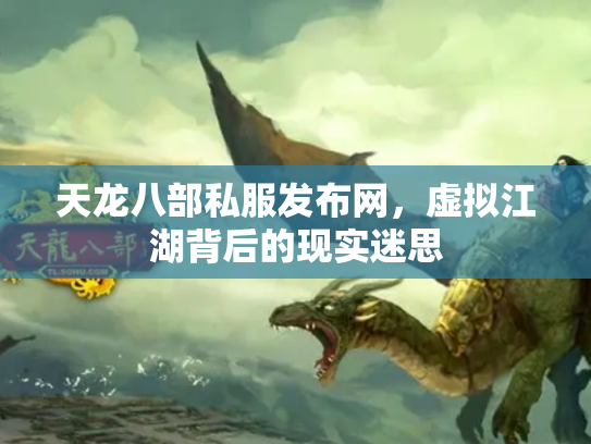 天龙八部私服发布网，虚拟江湖背后的现实迷思