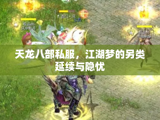 天龙八部私服，江湖梦的另类延续与隐忧