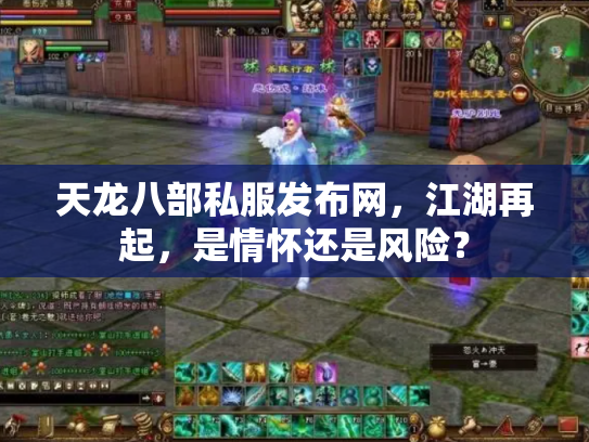 天龙八部私服发布网，江湖再起，是情怀还是风险？