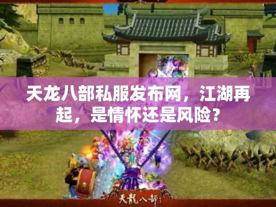 天龙八部私服发布网，江湖再起，是情怀还是风险？