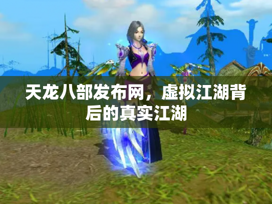 天龙八部发布网，虚拟江湖背后的真实江湖