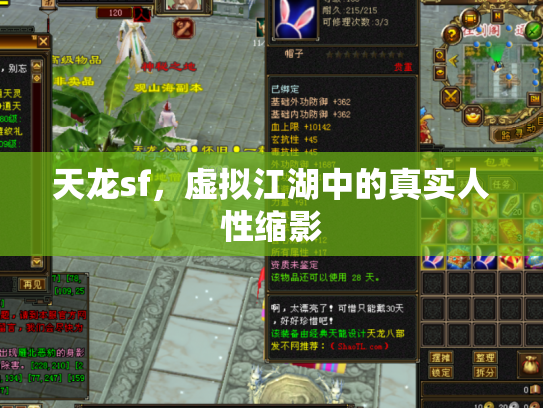 天龙sf,虚拟江湖中的真实人性缩影 天龙sf,虚拟江湖中的真实人性缩影