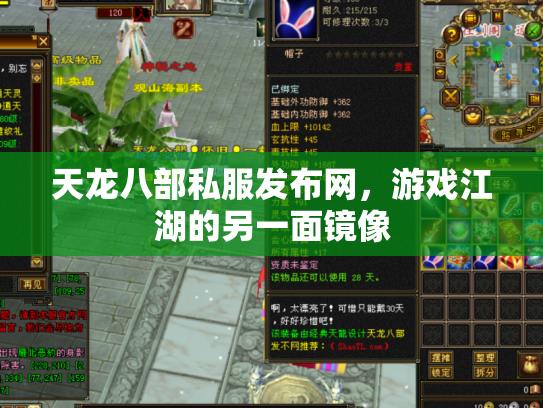 天龙八部私服发布网,游戏江湖的另一面镜像 天龙八部私服发布网,游戏江湖的另一面镜像