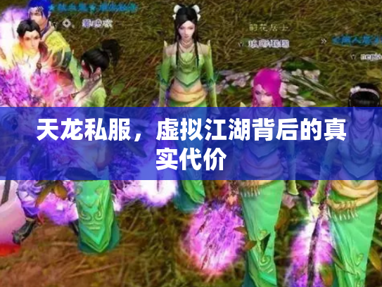 天龙私服，虚拟江湖背后的真实代价