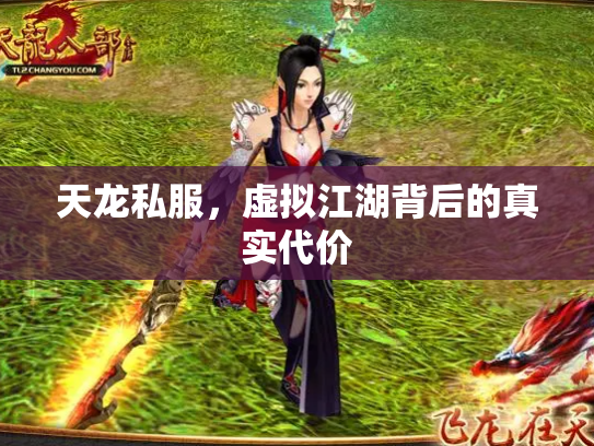 天龙私服，虚拟江湖背后的真实代价