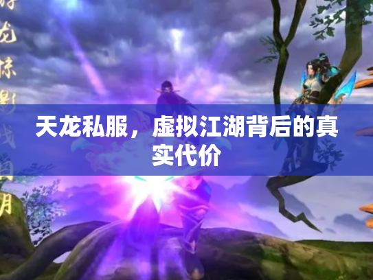 天龙私服，虚拟江湖背后的真实代价